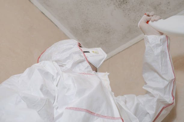 Best Mold Testing and Inspection Services in Mount Gilead, NC
